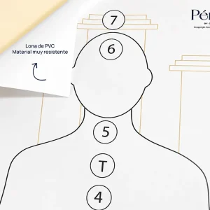 Silueta chakras tamaño real